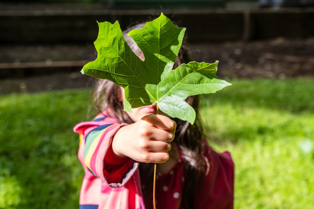 Discovering the Joy of Learning